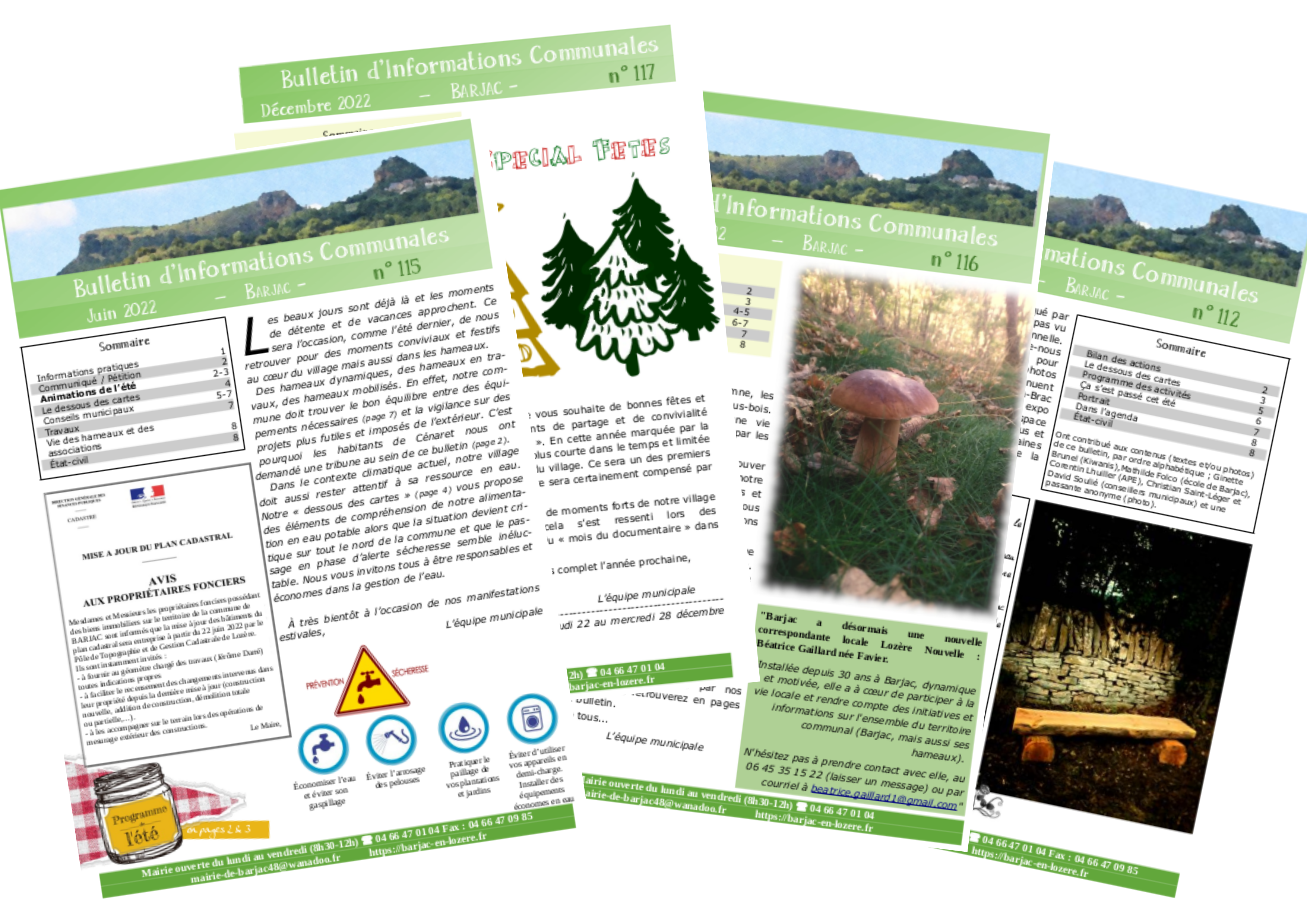 Bulletins d'informations